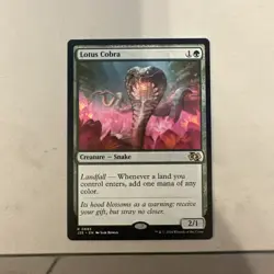 Lotus Cobra Foundations Jumpstart Regular - Image 1