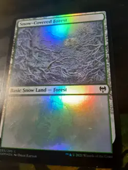 Snow Covered Forest 285 FOIL , Kaldiem , Near Mint , MTG , FREE SHIPPING - Image 2