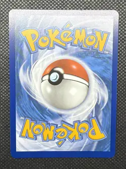 2025 Pokemon Journey Together Wailord Illustration Rare 162/159 NM - Image 2
