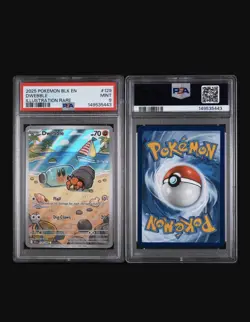 Pokemon TCG Dwebble Illustration Rare Holo Sv: Black Bolt PSA 9 #129 2025 - Image 3