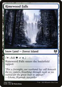 Foil - Rimewood Falls - 266 - LP - EN - Image 1