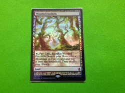 1x NM Foil Wooded Foothills Zendikar Expedition MTG Magic the Gathering - Image 1