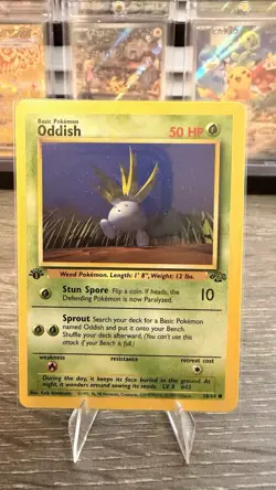 [Near Mint] 12x 1st Edition Pokemon Card Lot - Fossil/Jungle/Rocket - Image 2