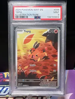 PSA 9 Tepig Illustration Rare 096/086 Pokemon White Flare 2025 ENGLISH MINT - Image 1