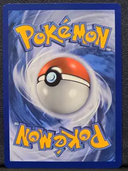 Pokemon Card - Charizard V SWSH260 Sword and Shield Illustration Promo - Image 2