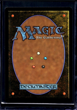 MTG Magic The Gathering TLE Avatar Last Airbender Borderless #71 Sokka and Suki - Image 2