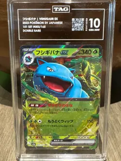 TAG 10 SV2a JP Venusaur ex #3 - 2023 POKEMON JAPANESE 151 003/165 - Image 1