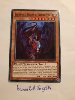 Yu-Gi-Oh ! Destrudo le frisson du Dragon Perdu OP19-FR023 Commune - Image 1