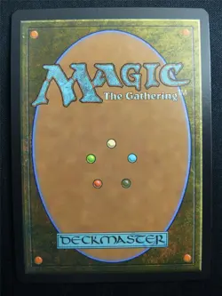 Paradise Chocobo/Birds of Paradise Borderless Foil - FIC - Mtg Card #3FJ - Image 2