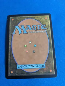 Misty Rainforest 1x MtG Zendikar SP/NM **See Pictures!** - Image 2