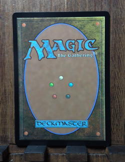 MTG🔥 Sunspine Lynx (Borderless FOIL) Bloomburrow NEAR MINT PACK FRESH💕😍 - Image 3