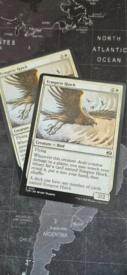 MtG Tempest Hawk x2 - Image 1