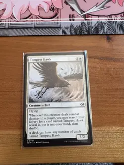 Tempest Hawk Tarkir: Dragonstorm Regular - Image 1