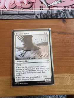 Tempest Hawk Tarkir: Dragonstorm Regular - Image 2