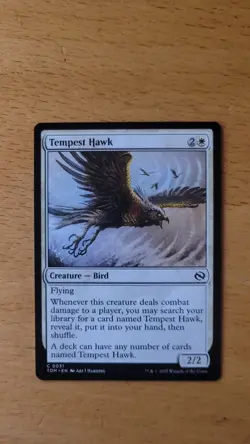Magic the Gathering, Tarkir - Dragonstorm: Tempest Hawk NM - Image 1