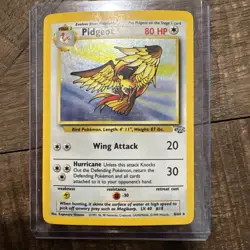 Pokemon Pidgeot 8/64 Holo Rare Jungle Set WOTC 1999 Vintage 8/64 - LP - Image 1
