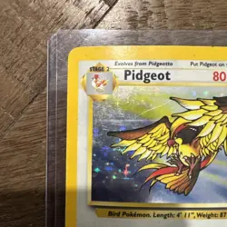 Pokemon Pidgeot 8/64 Holo Rare Jungle Set WOTC 1999 Vintage 8/64 - LP - Image 2