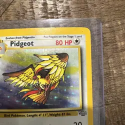 Pokemon Pidgeot 8/64 Holo Rare Jungle Set WOTC 1999 Vintage 8/64 - LP - Image 3