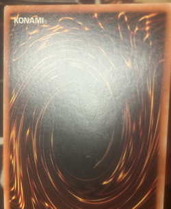 Yugioh: Book Of Life - DB2-EN230 - Super Rare - NM - Image 5