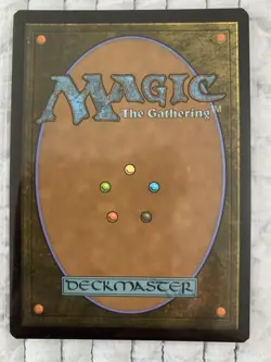 L 0262 Plains GALAXY FOIL BORDERLESS Full Art Land Edge of Eternities MTG Card - Image 2