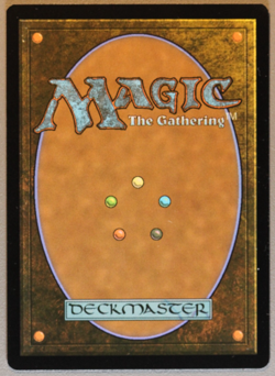 Evendo, Waking Haven - MTG - Edge of Eternities - Magic: The Gathering - Image 2