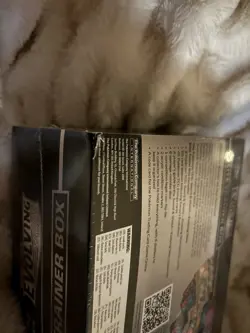 Pokemon Sword & Shield Evolving Skies ETB Factory Sealed. Small tear (SEE PICS) - Image 2