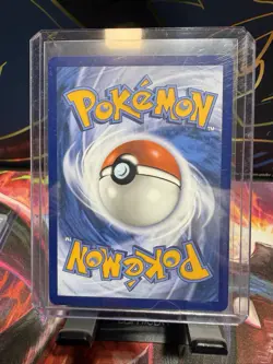 First Partner Illustration Squirtle Promo Full Art Holo 039 Pokemon TCG - Image 2