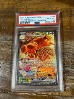 POKEMON 2024 Stellar Crown Special Illustration Rare DACHSBUN EX #169 PSA 10 Gem - Image 1