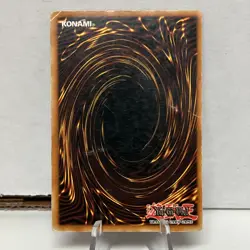 Dark Paladin DMG-001 Limited Edition Yu-Gi-Oh Secret Rare Promo Card LP/MP - Image 2