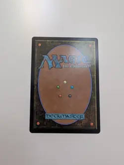 MTG - Plains 289 (Retro Frame Foil) - Innistrad Remasterd NM/M Condition - Image 4