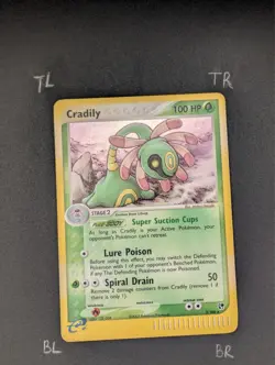 Pokemon TCG Cradily 3/100 EX Sandstorm Holo 2003 (NM/LP+) - Image 3