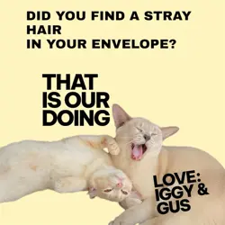 Meowstic RC15/RC32 XY Generations Radiant Collection 2016 Pokemon TCG NM 🔥 - Image 3