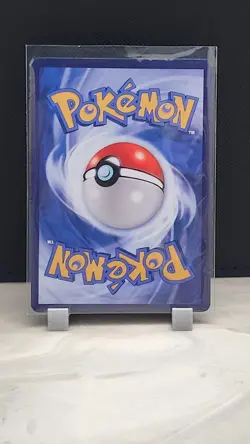 Pokemon Cracked Ice Holo Rainbow Boarder Cute Anime Zigzagoon Card - Image 2