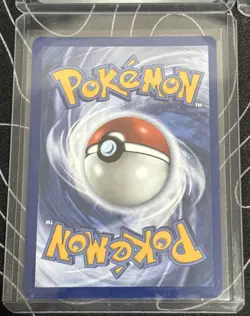 Pokemon First Partner Illustration Collection Series 1 Promos On Hand 6 cards - Image 3