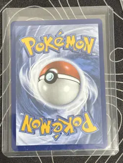 Pokemon First Partner Illustration Collection Series 1 Promos On Hand 6 cards - Image 5