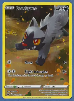 Pokemon Crown Zenith Galarian Gallery Full Art GG33/GG70 Poochyena Pack Fresh - Image 1