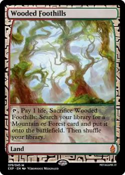Contreforts boises FOIL PREMIUM Wooded Foothills Zendikar Expeditions Magic Mtg - Image 1