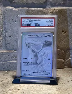 Pokemon 2025 Reshiram ex 173/086 Black White Rare White Flare GEM MINT PSA 10 - Image 1