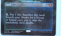 Misty Rainforest Borderless, Dragonscale, Special Guests NM Foil - Image 2