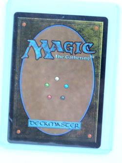 Misty Rainforest Borderless, Dragonscale, Special Guests NM Foil - Image 3