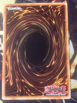 Yugioh: Toon Defense - LDS1-EN070 - Common - 1st Edition - LP - Image 2