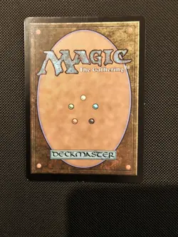 Magic The Gathering Windswept Heath Zendikar Expeditions Foil 020/045 - Image 2