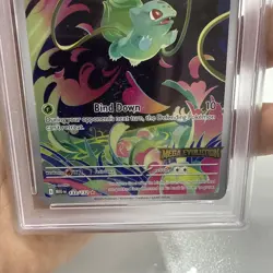 2025 Pokemon Meg En Bulbasaur Enhanced BSTR Box Topper PSA 8 NM-MT #133 - Image 4