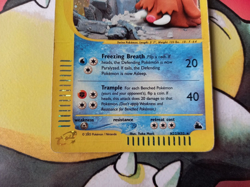 Piloswine H22/H32 Skyridge Holo Rare Pokemon Card - Swirl - Image 4