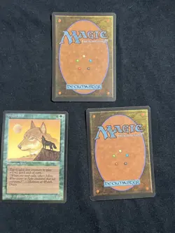 Magic the Gathering Wyluli Wolf Arabian Nights X3 NM - Image 5
