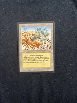 Magic the Gathering Diamond Valley Arabian Nights NM to LLP - Image 1