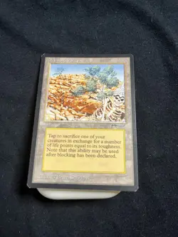 Magic the Gathering Diamond Valley Arabian Nights NM to LLP - Image 4