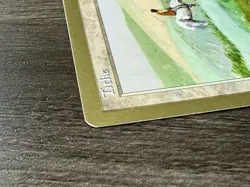 1x Tithe 1998 Brian Hacker (VIS) World Championship Decks (WCD) MTG LP English - Image 3