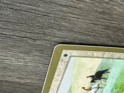 1x Tithe 1998 Brian Hacker (VIS) World Championship Decks (WCD) MTG LP English - Image 4