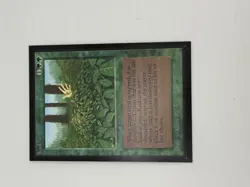 Kudzu International Edition - MTG - Image 1